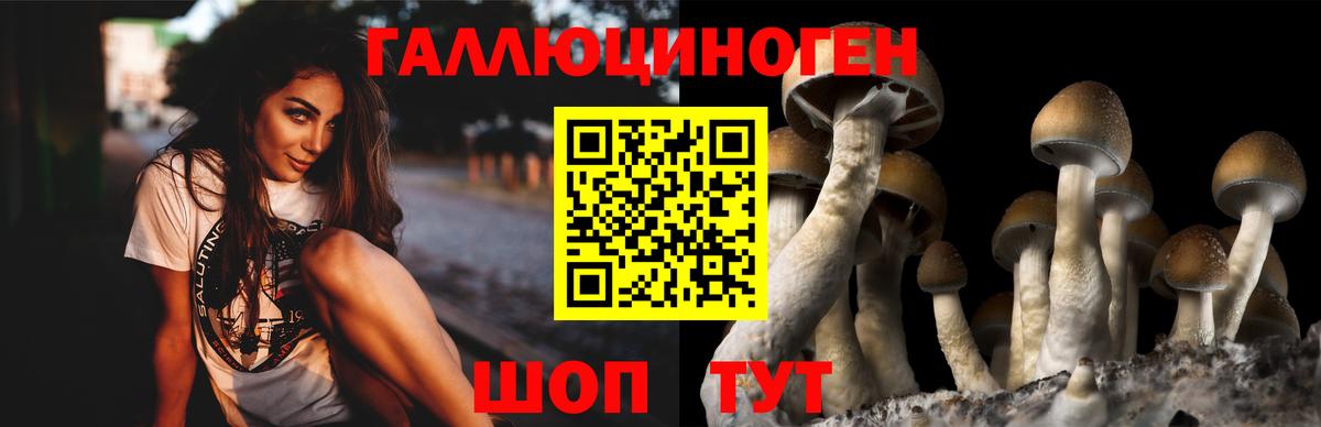 Кинель  Галлюциногенные грибы мицелий  Вход с VPN 